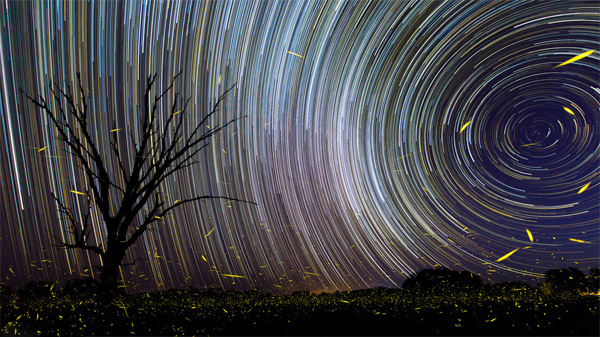 این عکس ترکیبی از ۳۵۰ عکس مستقل می‌باشد که در زمانی نزدیک ۳ ساعت به ثبت رسیده‌است.رد ستارگان دورقطبی در کنار درخشش شب‌تاب‌ها نمایی زیبا پدید‌آورده‌است.عکس از:Brandon Giesbrecht