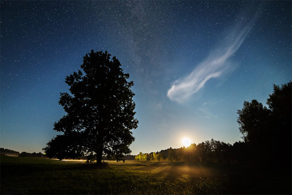 چراغ‌های جلوی ماشین عبوری درختان را روشن کرده‌است و ابر کوچک شبح‌گون به تنهایی در آسمان به پرواز در آمده‌است.عکس از:Martin Mark
