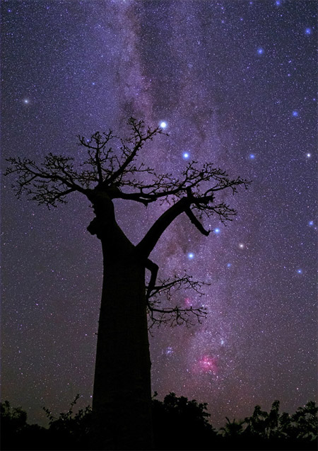 این عکس از در مکانی شگفت‌انگیز در تاریکی‌رویایی در کنار درختی خارق‌العاده ثبت‌شده‌است.عکس از:M. Taha Ghouchkanlu
