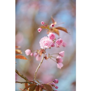 BjoernPados_DSC3325_300349_0Previewmedium