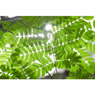 BjoernPados_DSC3520_300352_0Previewmedium