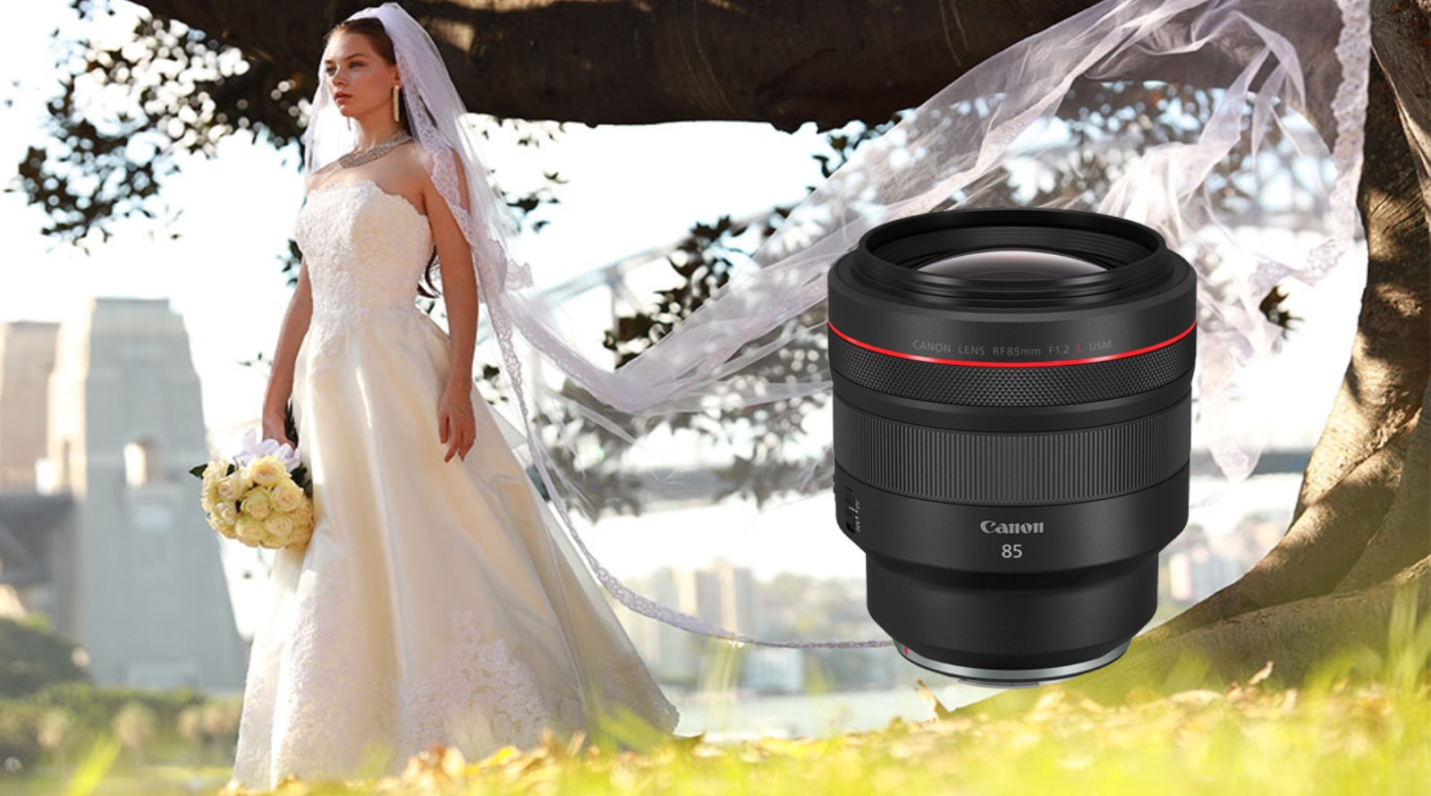 Canon RF 85 f1.2 L USM