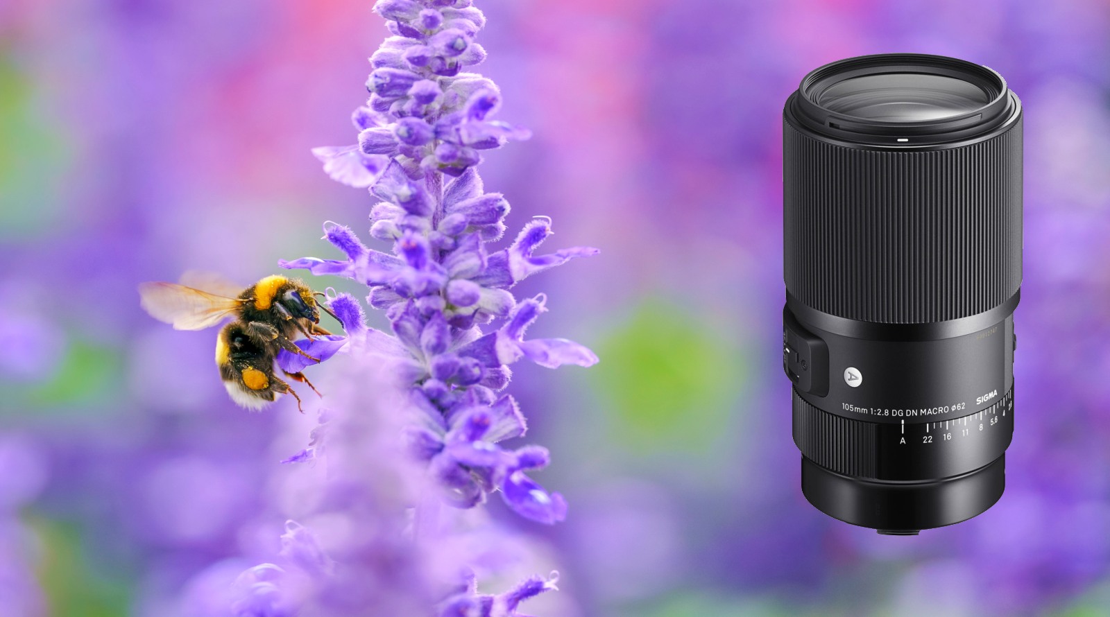 لنز سیگما 105mm f:2.8 DG DN1